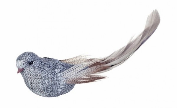 Vogel VENECKE
