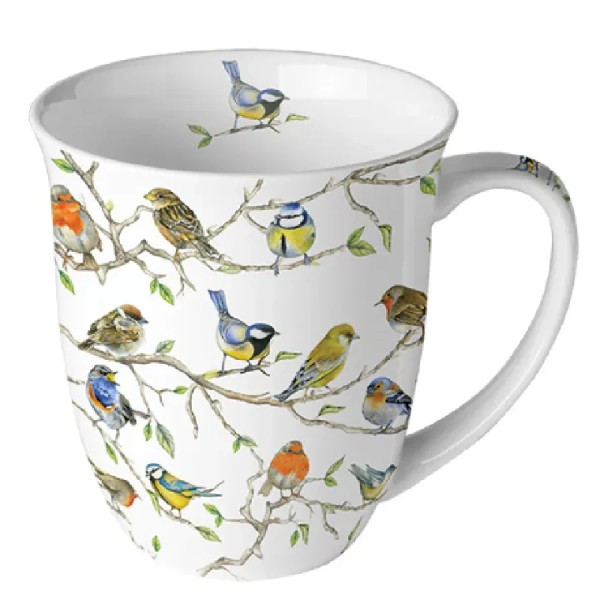Becher BIRDS MEETING