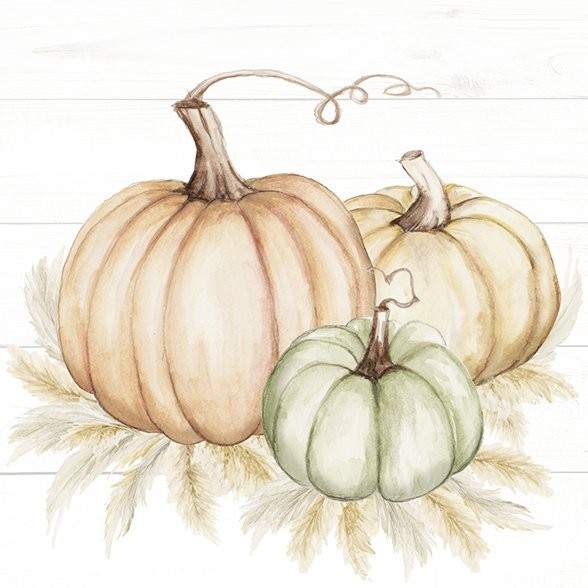 Servietten PUMPKIN TRIO