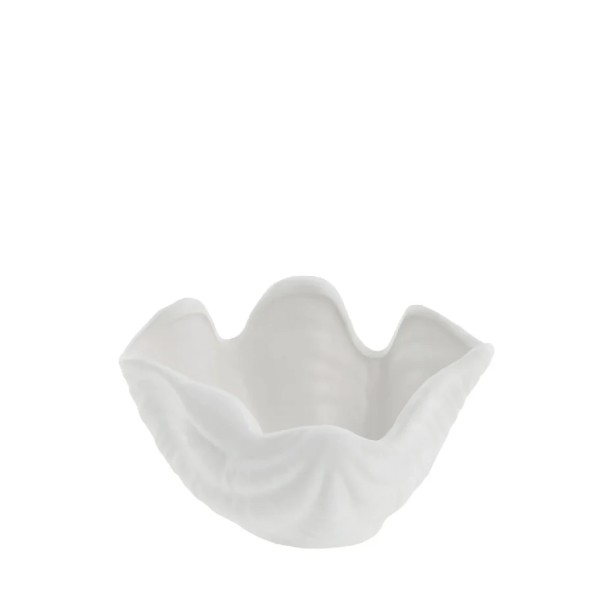 Deko-Muschelschale SHELINE
