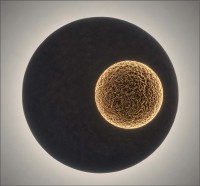 Wandleuchte LUNA gold Wandleuchte LUNA gold