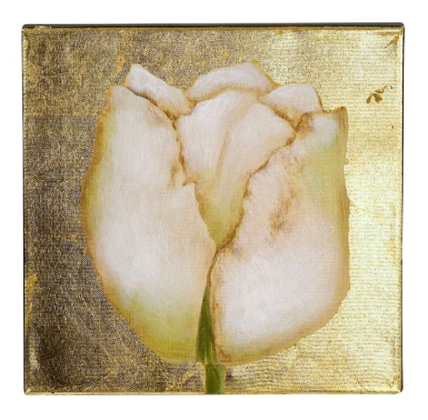 Bild TULPE