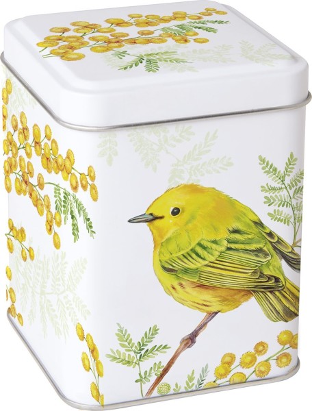 Tee-Dose JOY OF SPRING