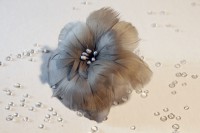 Federblume BLOSSOM coll. Federblume BLOSSOM coll.