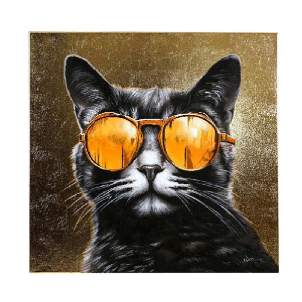 Bild COOL-CAT